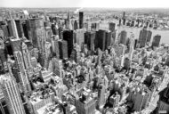 Tissu mural - B10133 – Image 2