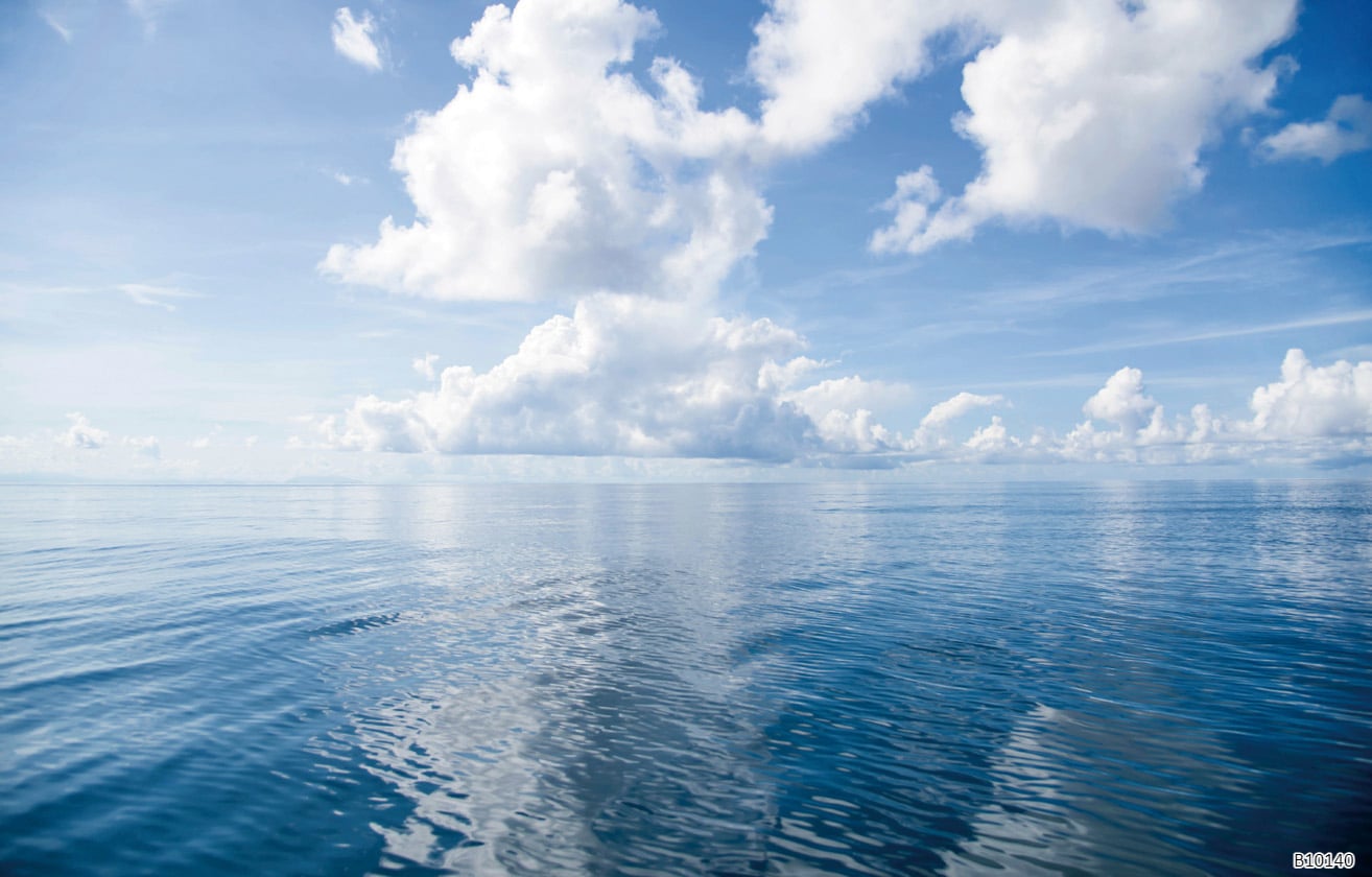 B10140 Tissu mural - B10140 – Image 1