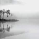 Papier peint - B10152