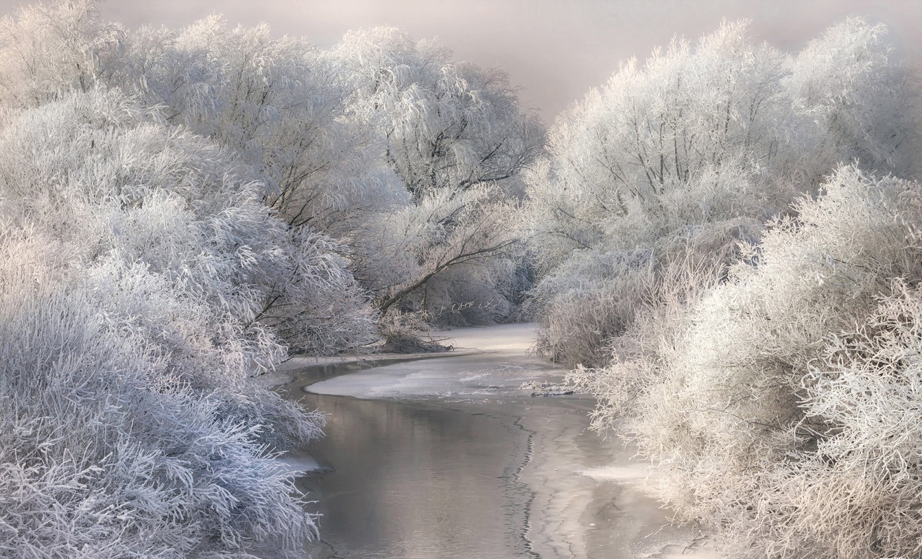 B30006 Papier peint - B30006 – Image 1