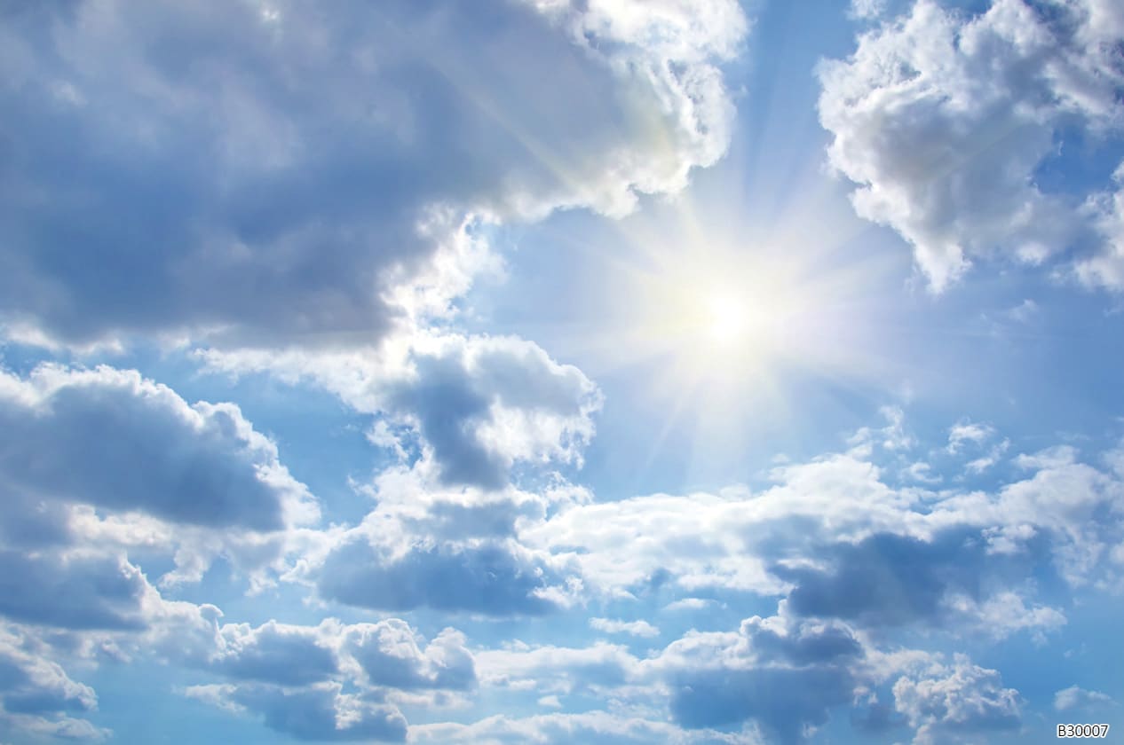 B30007 Papier peint - B30007 – Image 1