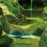 Papier peint - B30028