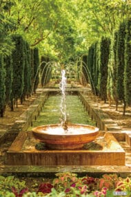 Papier peint - B30029 – Image 2