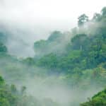 Papier peint - B30034