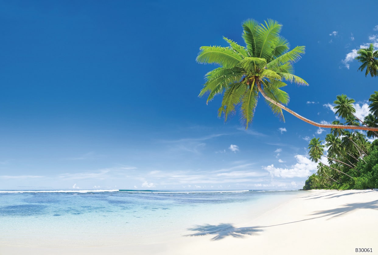 B30061 Tissu mural - B30061 – Image 1