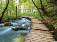 Tissu mural - B30104 – Image 2