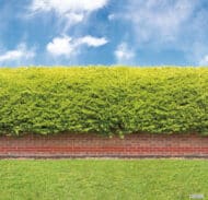 Papier peint - B90022 – Image 2