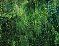 Papier peint - BP0059 – Image 2