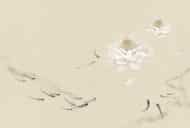 Papier peint - C0074K