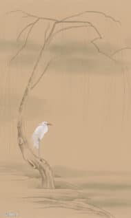 Papier peint - CG23001 – Image 2