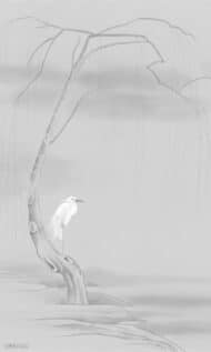 Papier peint - CG23001 – Image 3