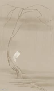 Papier peint - CG23001 – Image 5