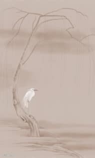 Papier peint - CG23001 – Image 6