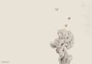 Papier peint - CX23026 – Image 2