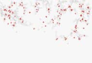 Papier peint - CX25011K – Image 3