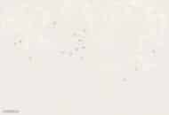 Papier peint - CX25011K – Image 4