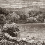 Tissu mural - DPX0042K