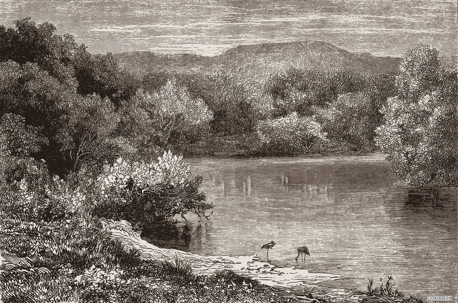 DPX0042K Papier peint - DPX0042K – Image 1