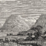 Tissu mural - DPX0044K