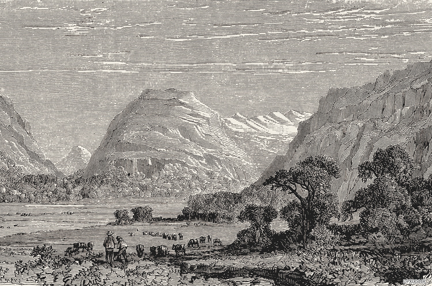 DPX0044K Tissu mural - DPX0044K – Image 1