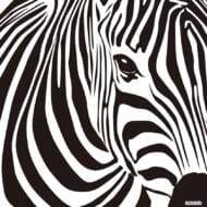 Papier peint - E12035K – Image 2