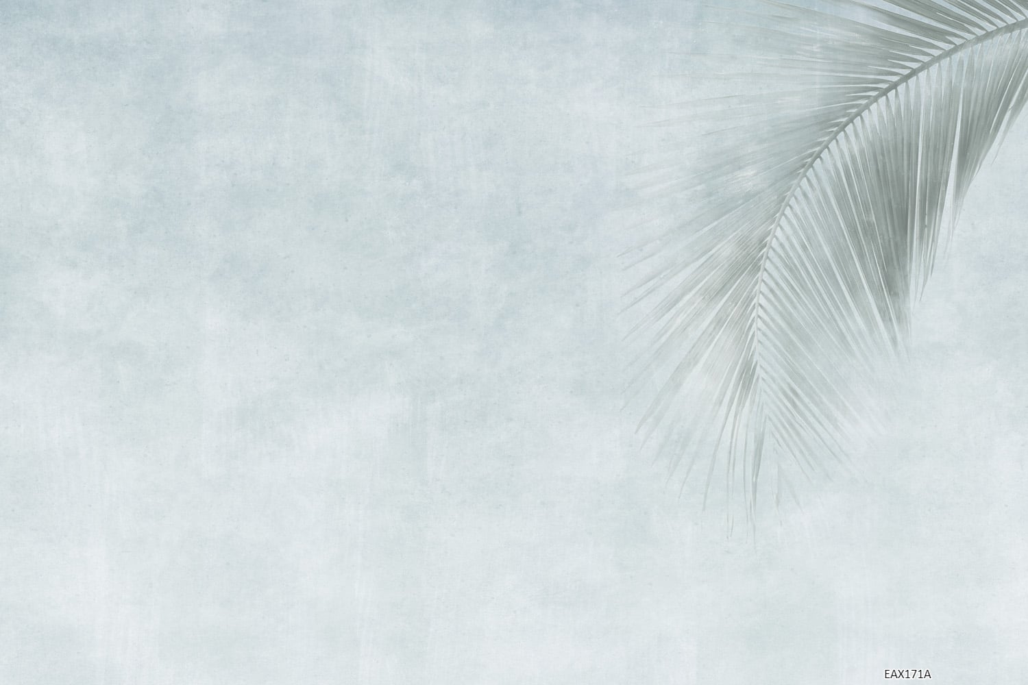 EAX171A Papier peint - EAX171 – Image 1