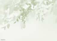 Papier peint - G25009 – Image 5