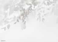 Papier peint - G25009 – Image 4