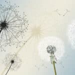 Papier peint - H10049K