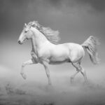 Tissu mural - H10104