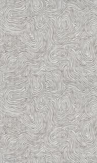 Papier peint - HC24009 – Image 2