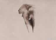 Papier peint - M0035K – Image 4