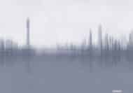 Papier peint - M0038KB – Image 2