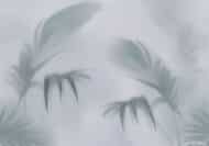 Papier peint - M0065K – Image 6