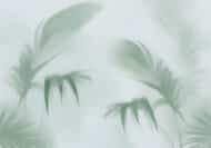 Papier peint - M0065K – Image 4