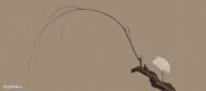 Papier peint - PZ22014K – Image 4