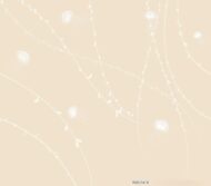 Papier peint - R0015K – Image 3