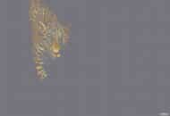 Papier peint - SC0022 – Image 3