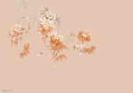 Papier peint - SR25050 – Image 4