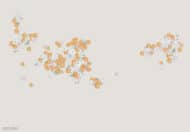 Papier peint - SR25065K – Image 2