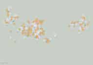 Papier peint - SR25065K – Image 3