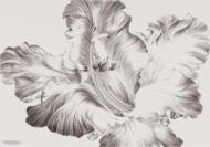 Papier peint - T22029K – Image 2