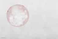 Papier peint - TX22015K – Image 2