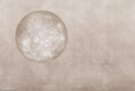 Papier peint - TX22015K – Image 3