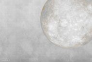 Papier peint - TX22015KB – Image 3