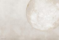 Papier peint - TX22015KB – Image 2