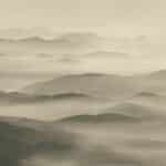 Papier peint - Z0005K